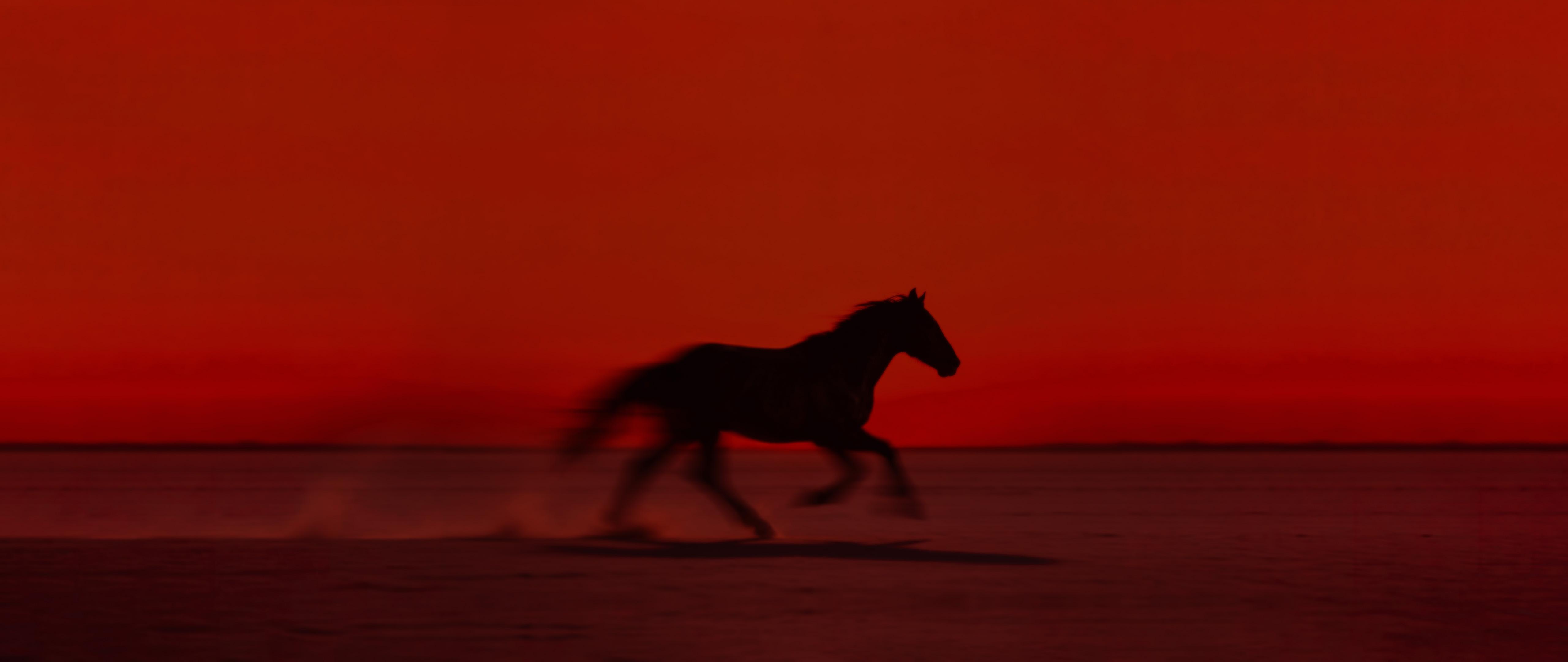 A glowing ASCII-art horse galloping across a red plain at dusk